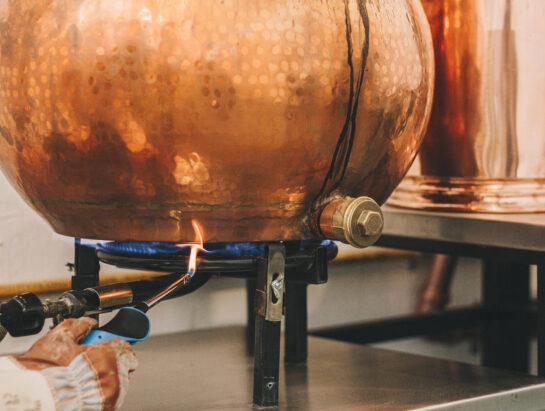 Destilería de Alquimista Gin